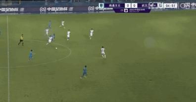 污翼鸟