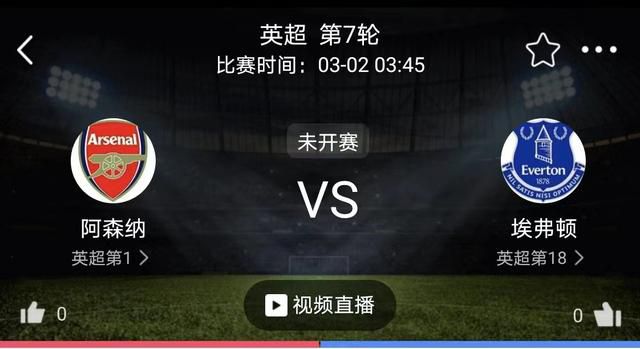 91视频区