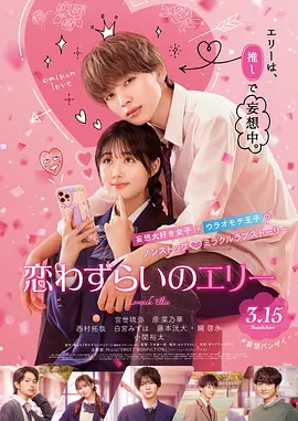 三节片