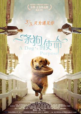 我的好兄弟2