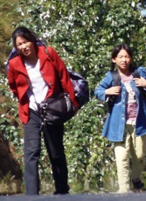 青青草av免费在线观看
