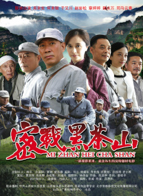 国产一区二区视频在线观看