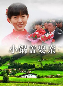 国产免费观看a大片的网站