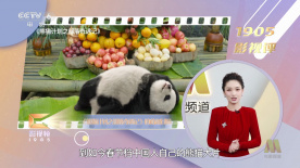 大众成人网